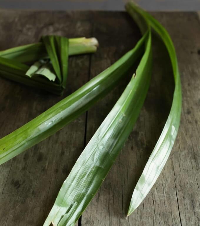 What are the pandan leaves? And Pandan extract recipe