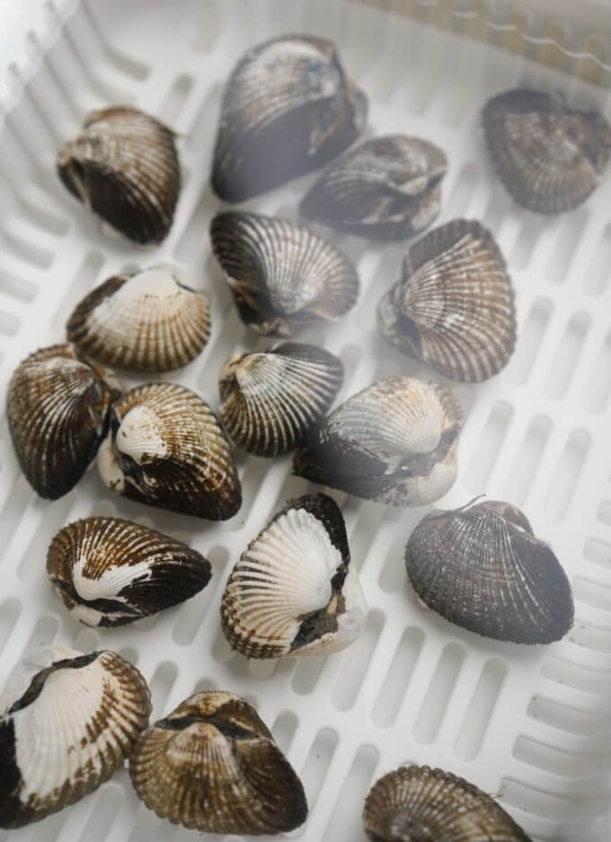 Vietnamese Grilled Clams Recipe (Peanuts, Onions and Garlic)